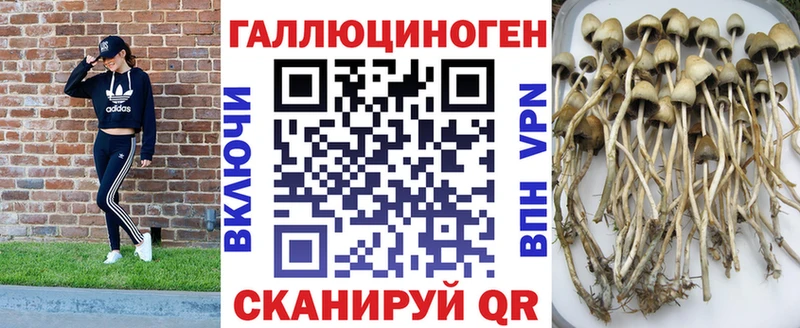 Галлюциногенные грибы MAGIC MUSHROOMS  Малаховка 